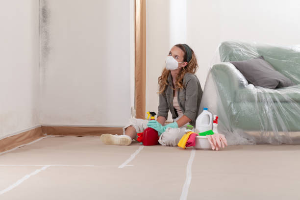 Trusted Black Mold Removal service in Graham, TX - WQB Mold Removal